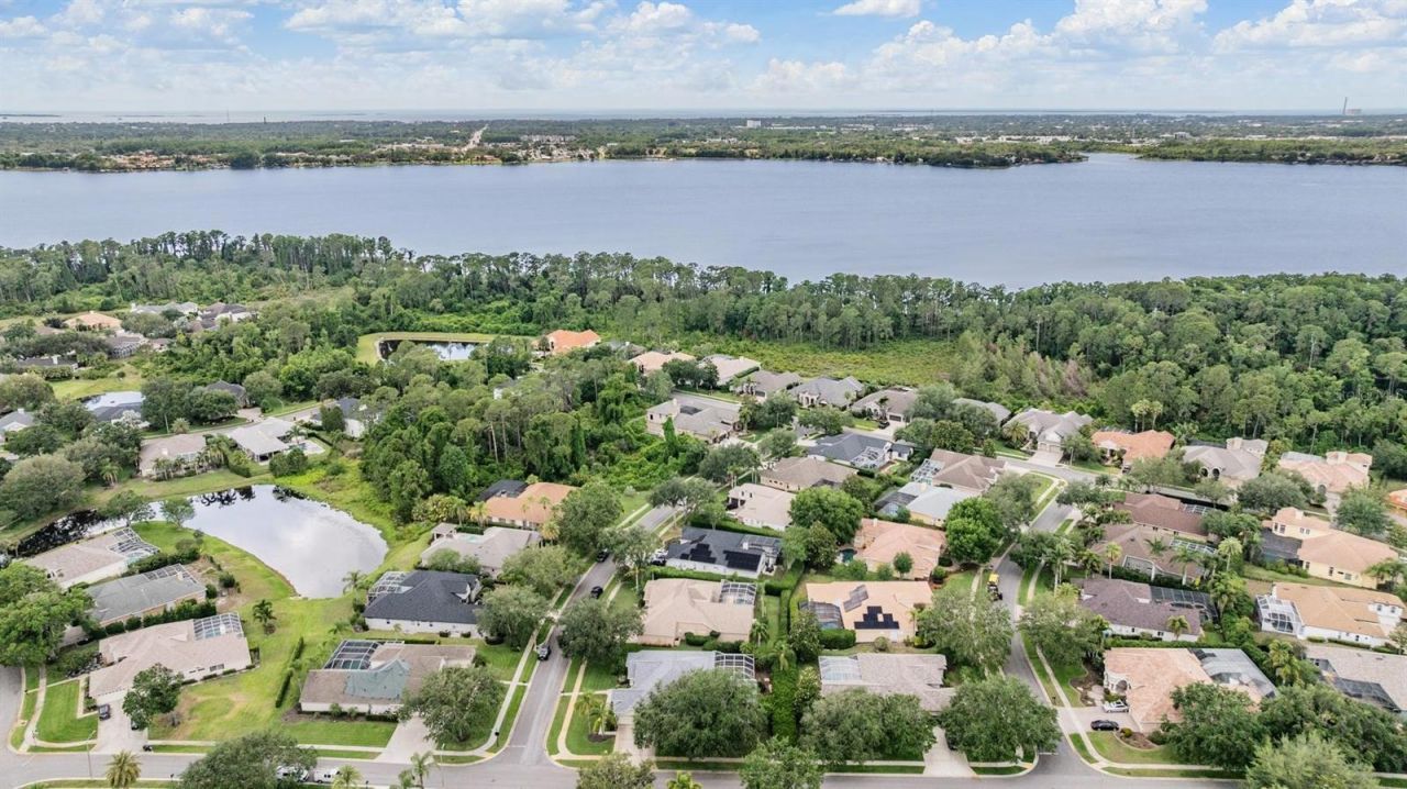 3727 Janus Way, Palm Harbor, FL 34685 Photo