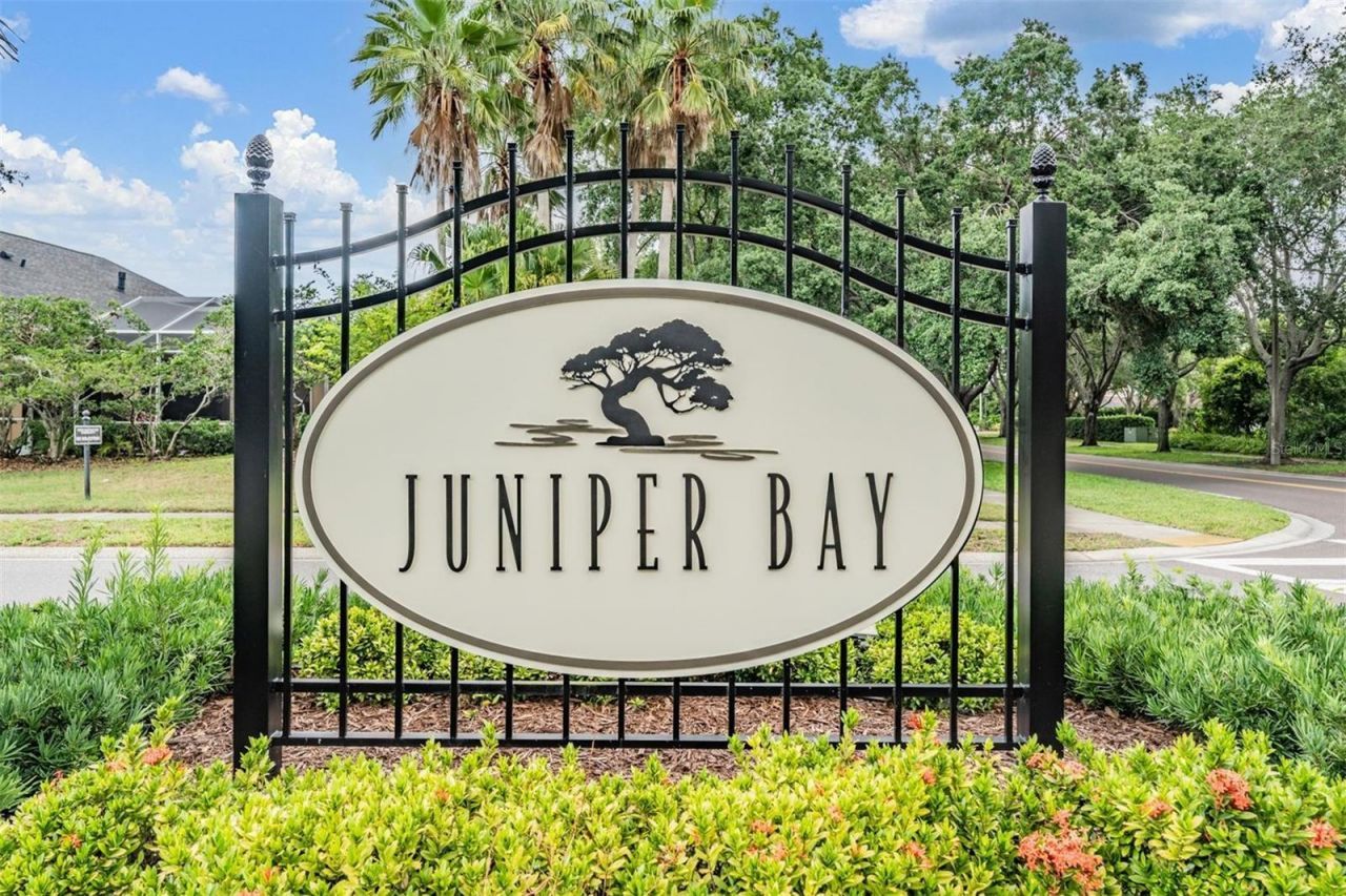 3727 Janus Way, Palm Harbor, FL 34685 Photo