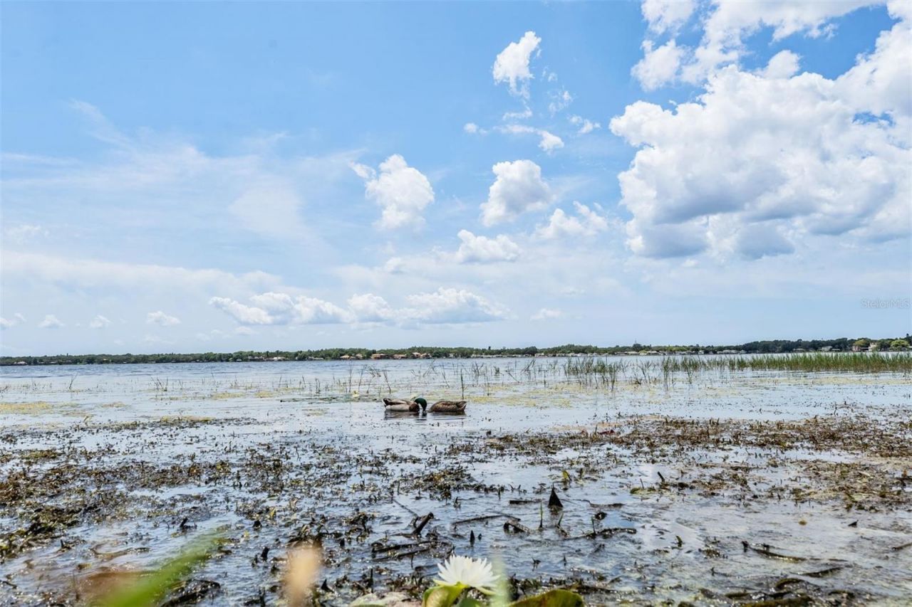 3727 Janus Way, Palm Harbor, FL 34685 Photo