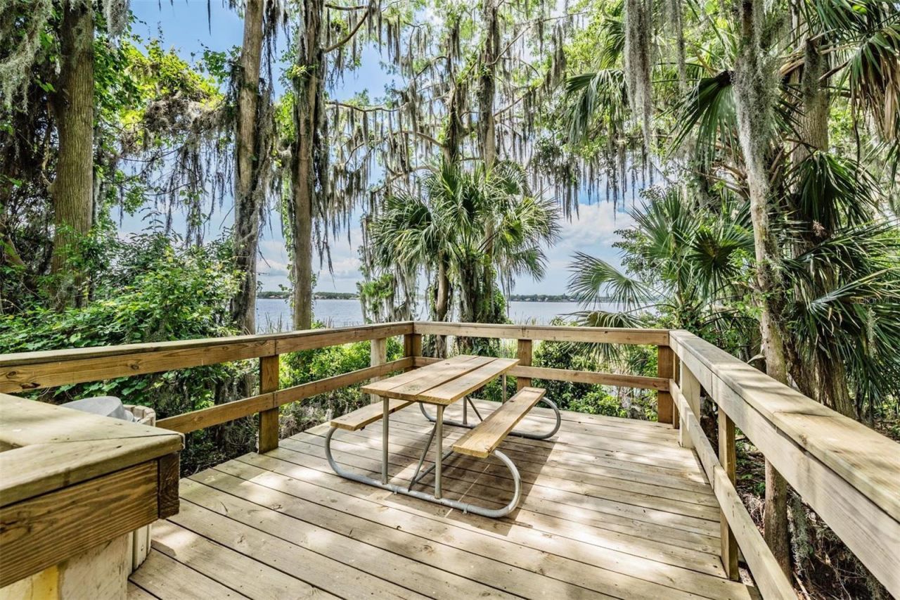 3727 Janus Way, Palm Harbor, FL 34685 Photo