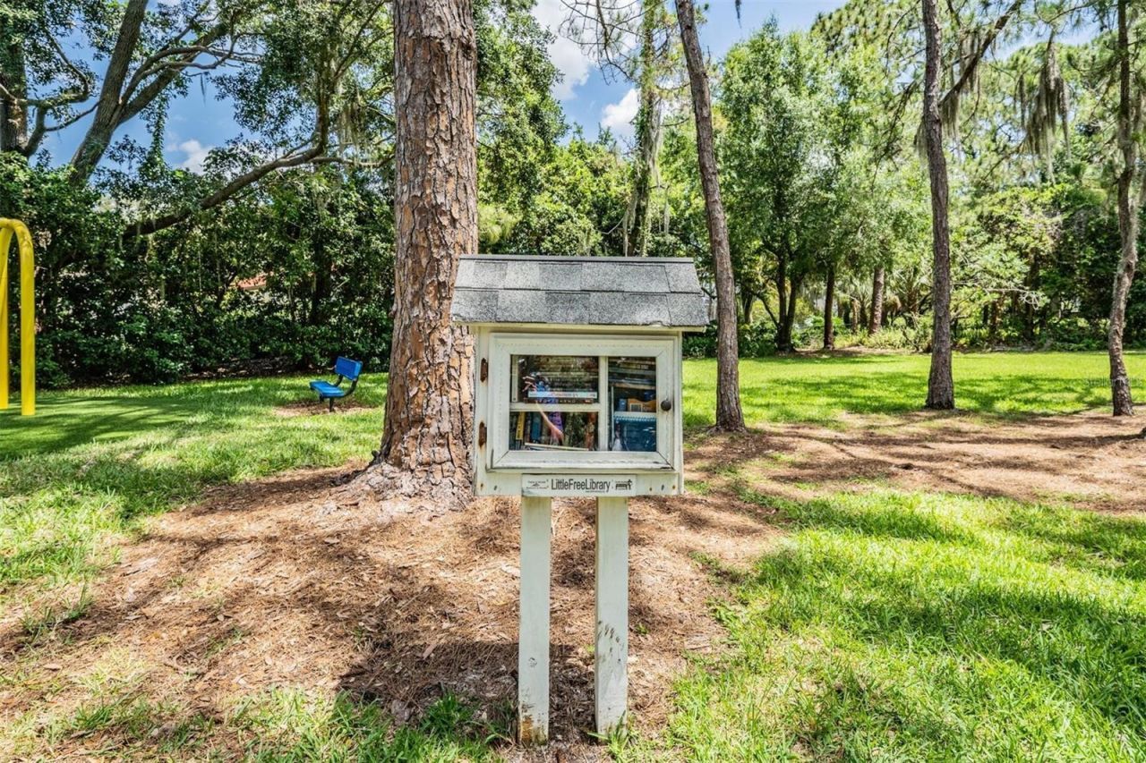 3727 Janus Way, Palm Harbor, FL 34685 Photo