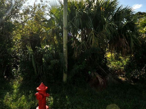 884 SW Mccoy Avenue, Port Saint Lucie, FL 34953