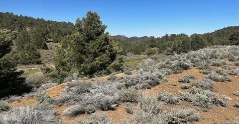 1540 Yellowjacket Road, Reno, NV 89521 Photo