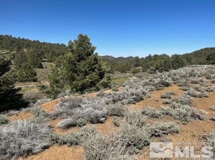 1540 Yellowjacket Road, Reno, NV 89521 Photo