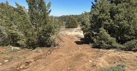 1540 Yellowjacket Road, Reno, NV 89521 Photo