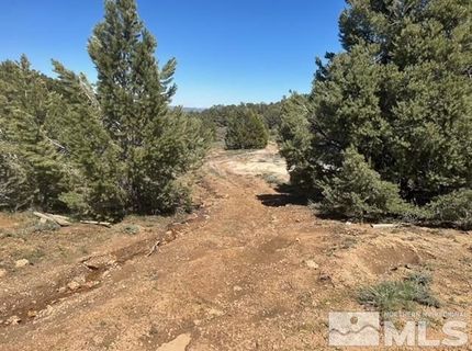 1540 Yellowjacket Road, Reno, NV 89521 Photo