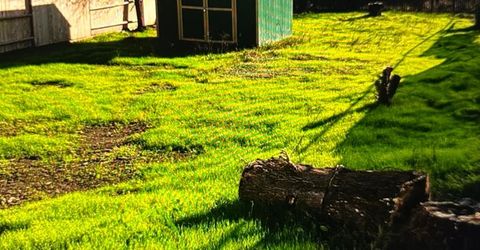 940 Rivera Dr, Sacramento, CA 95838 Photo