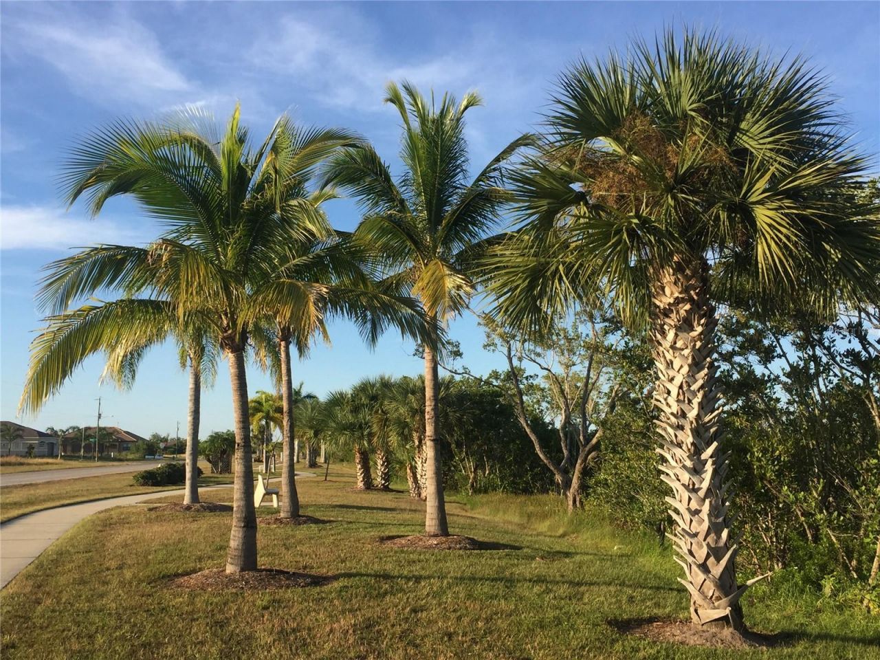 13485 Abutilon Lane, Port Charlotte, FL 33981 Photo