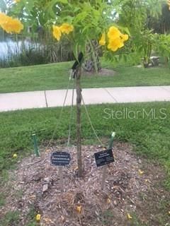 13485 Abutilon Lane, Port Charlotte, FL 33981 Photo