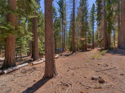 Meeks Bay Avenue, South Lake Tahoe, CA 96150 Photo