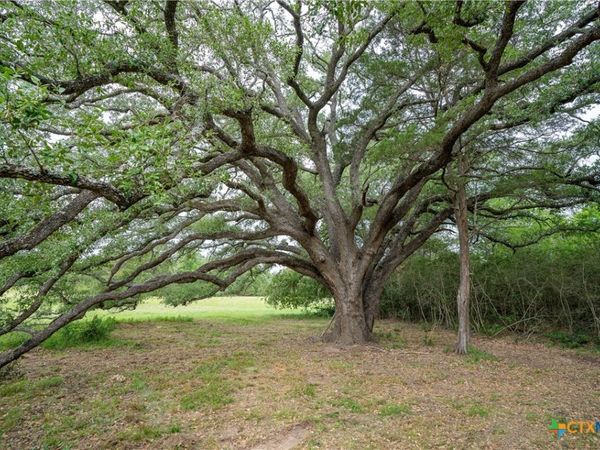 TBD FM 713 Highway, Rosanky, TX 78953