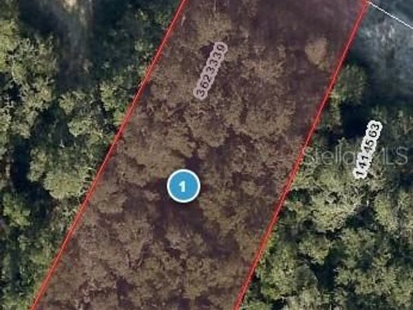 REDBUD ROAD, LADY LAKE, FL 32159