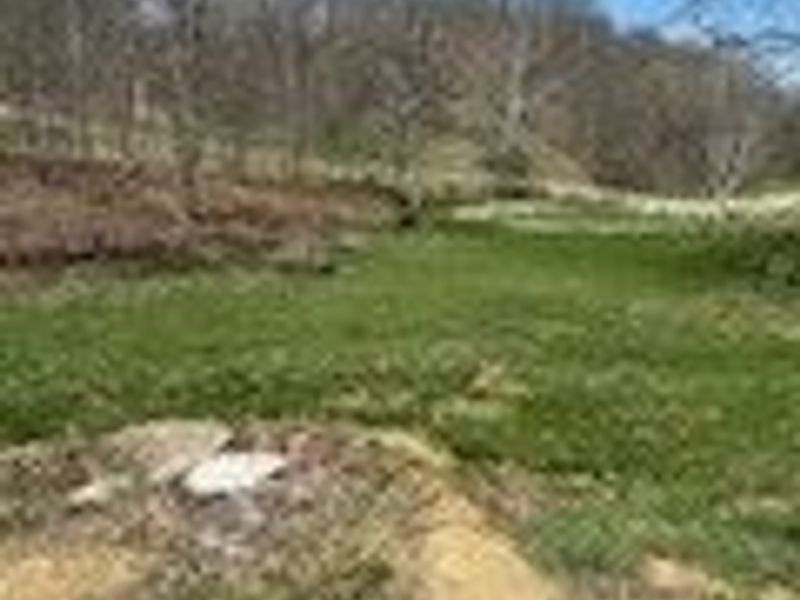 17607 Halleys Ridge Road, Pleasant City, OH 43772 Photo 5