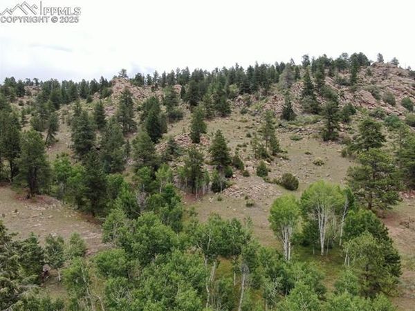 76 Crocus Circle, Florissant, CO 80816