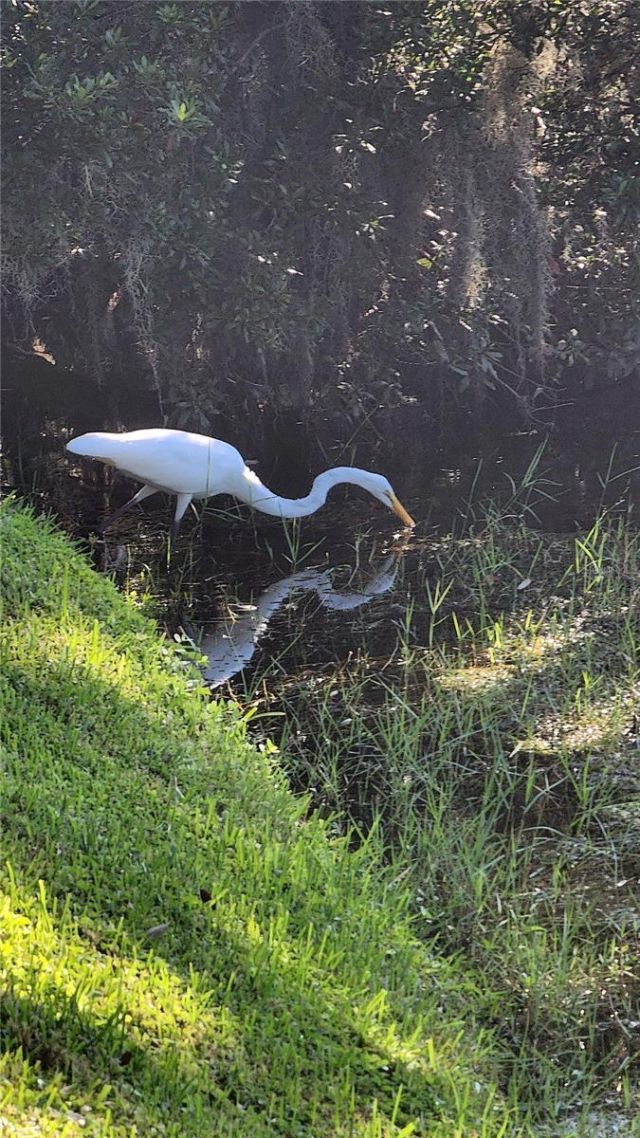 89 Whipporwill Court, Ellenton, FL 34222 Photo