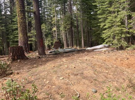 8896 Big Creek Road, Bucks Lake, CA 95971 Photo
