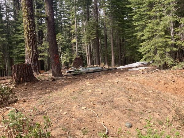 8896 Big Creek Road, Bucks Lake, CA 95971