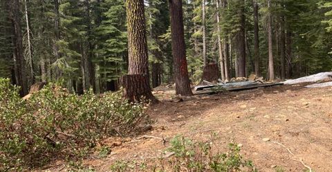 8896 Big Creek Road, Bucks Lake, CA 95971 Photo