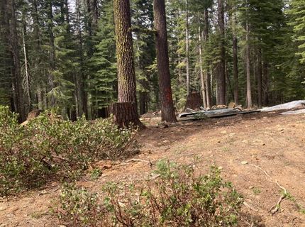 8896 Big Creek Road, Bucks Lake, CA 95971 Photo