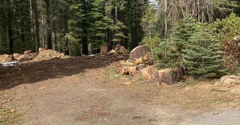 8896 Big Creek Road, Bucks Lake, CA 95971 Photo