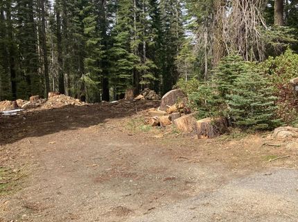 8896 Big Creek Road, Bucks Lake, CA 95971 Photo