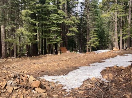 8896 Big Creek Road, Bucks Lake, CA 95971 Photo