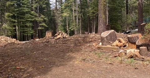8896 Big Creek Road, Bucks Lake, CA 95971 Photo