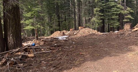 8896 Big Creek Road, Bucks Lake, CA 95971 Photo