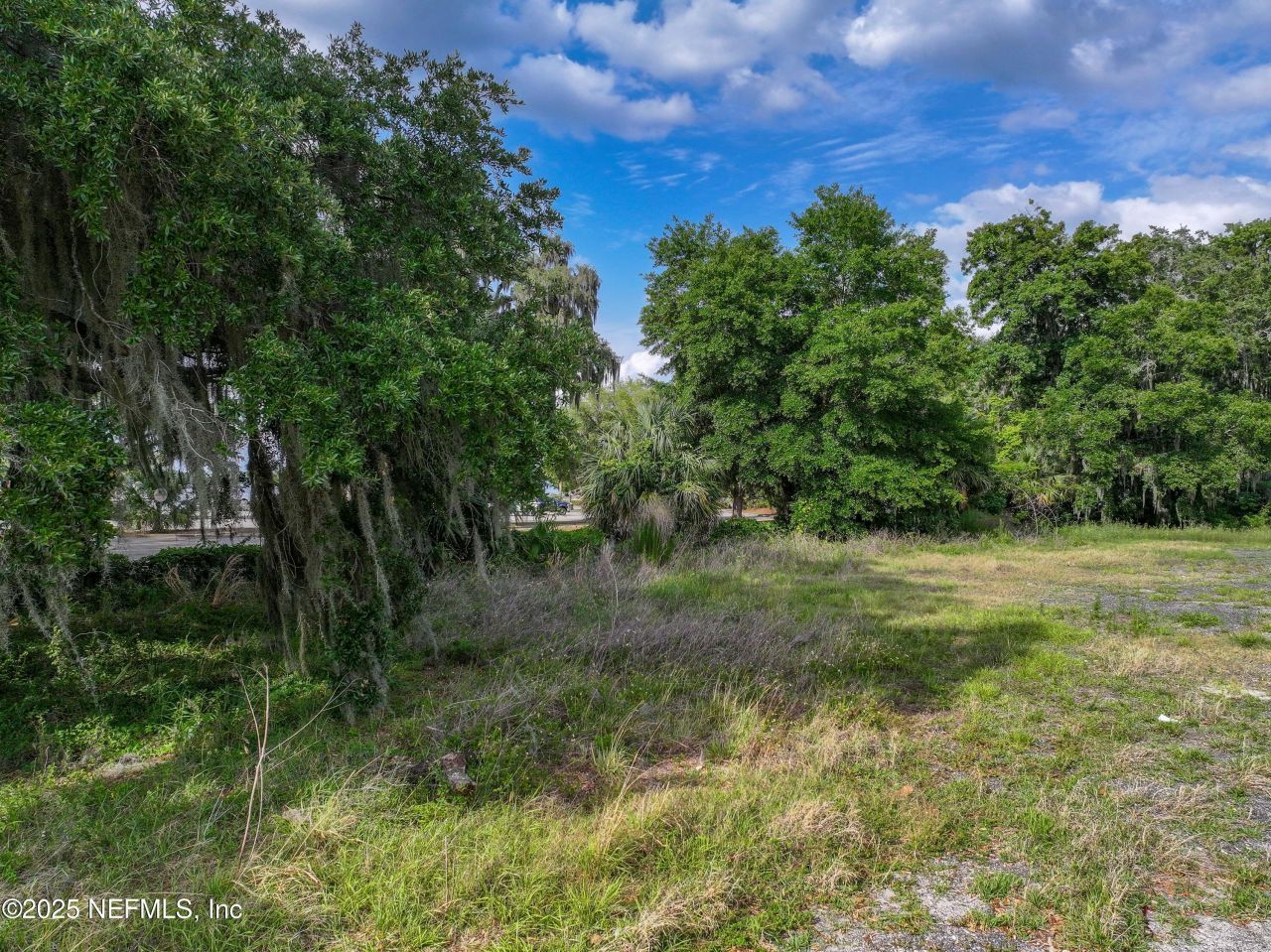 2989 Us Highway 17, Green Cove Springs, FL 32043 Photo
