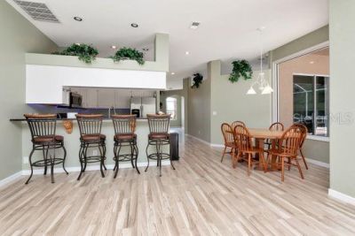 10305 Worthy Lamb Way, New Port Richey, FL 34654 Photo