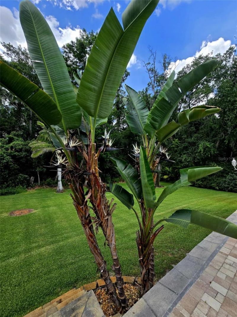 10305 Worthy Lamb Way, New Port Richey, FL 34654 Photo