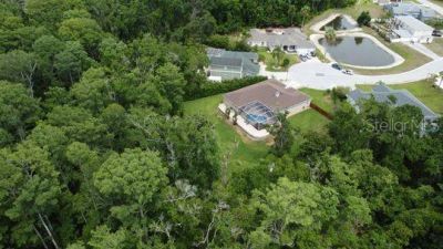 10305 Worthy Lamb Way, New Port Richey, FL 34654 Photo