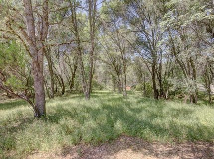 3390 Morel Way, Placerville, CA 95667 Photo