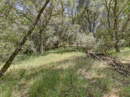 3390 Morel Way, Placerville, CA 95667 Photo