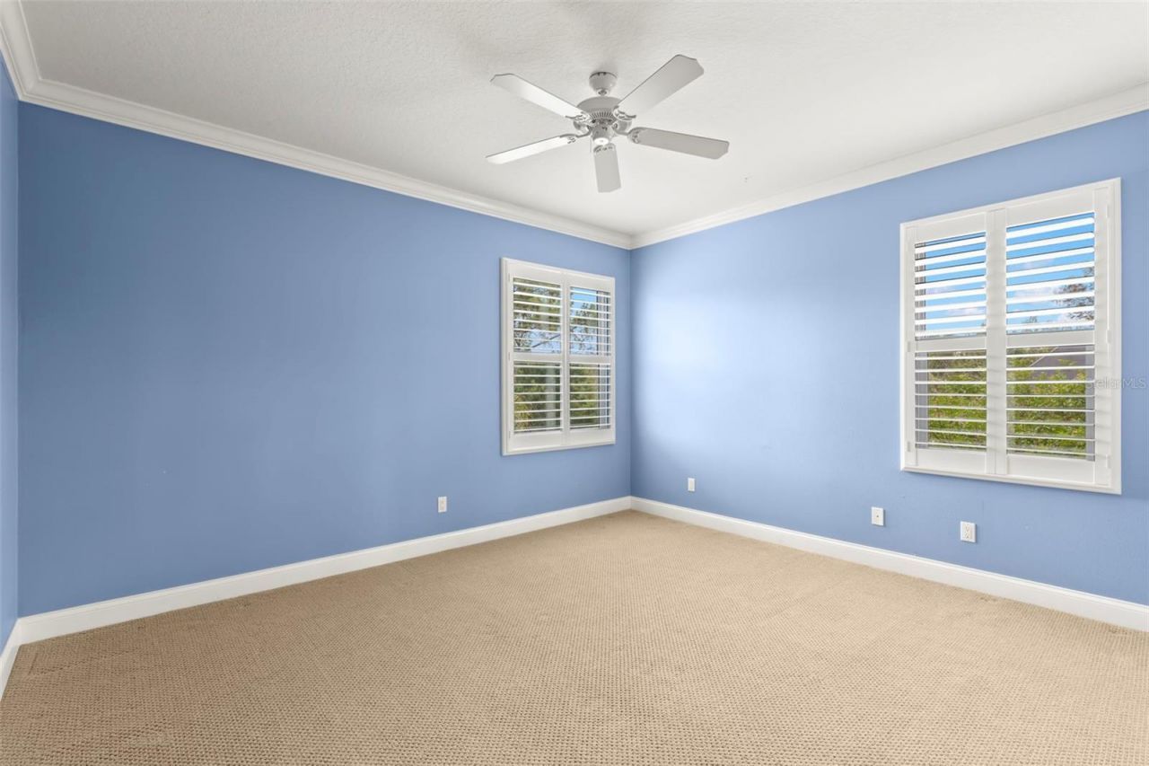 1171 Red Maple Circle Ne, Saint Petersburg, FL 33703 Photo