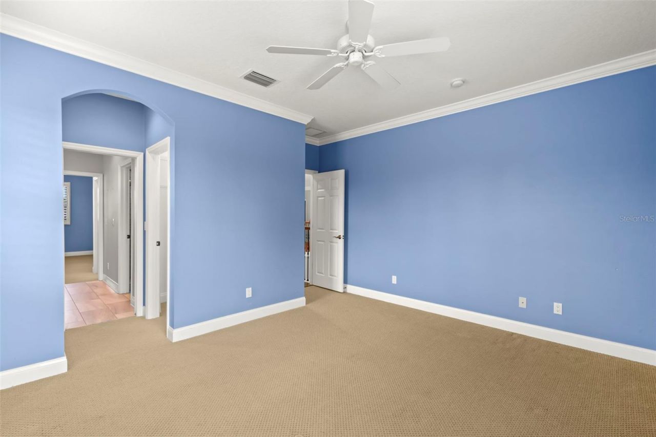 1171 Red Maple Circle Ne, Saint Petersburg, FL 33703 Photo