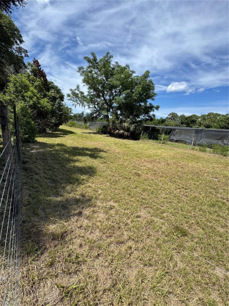 850 Menton Road, Pierson, FL 32180 Photo