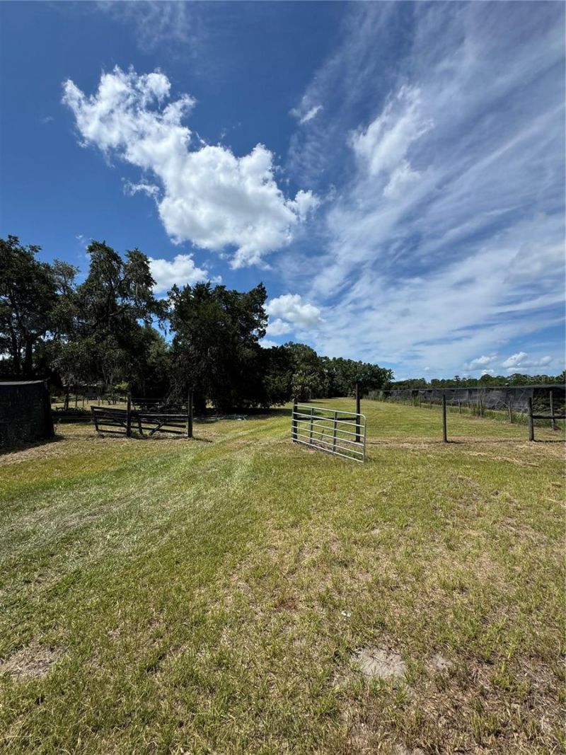 850 Menton Road, Pierson, FL 32180 Photo