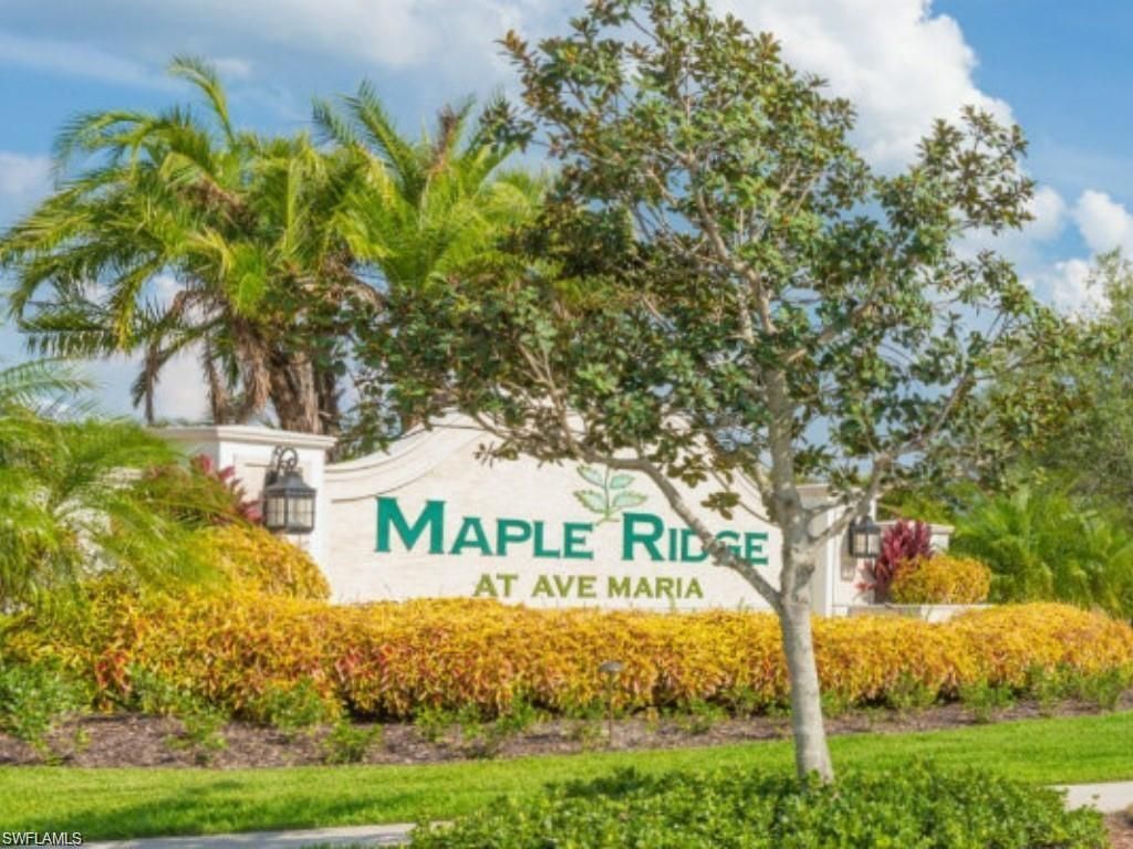 5277 Marano Dr, Ave Maria, FL 34142 Photo