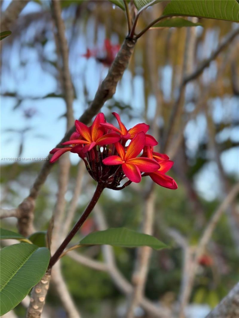 1910 SW 183rd Ter, Miramar, FL 33029 Photo