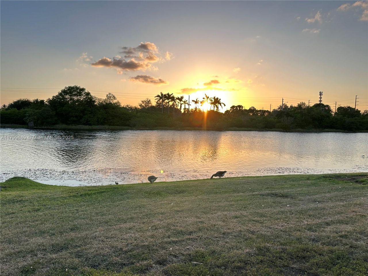 1910 SW 183rd Ter, Miramar, FL 33029 Photo