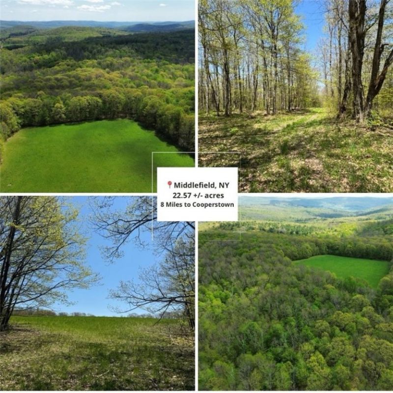 Barnum Road, Cooperstown, NY 13320 Main Photo