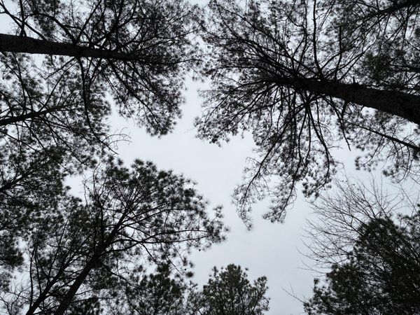 3715 Split Rail Way, Guild, TN 37340