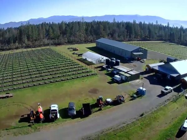 3160 Rockydale Road, Cave Junction, OR 97523