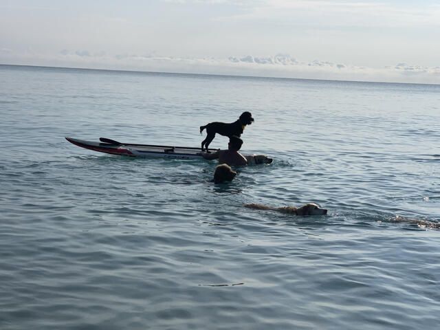 1605 S Us Highway 1, Unit F204, Jupiter, FL 33477 Photo