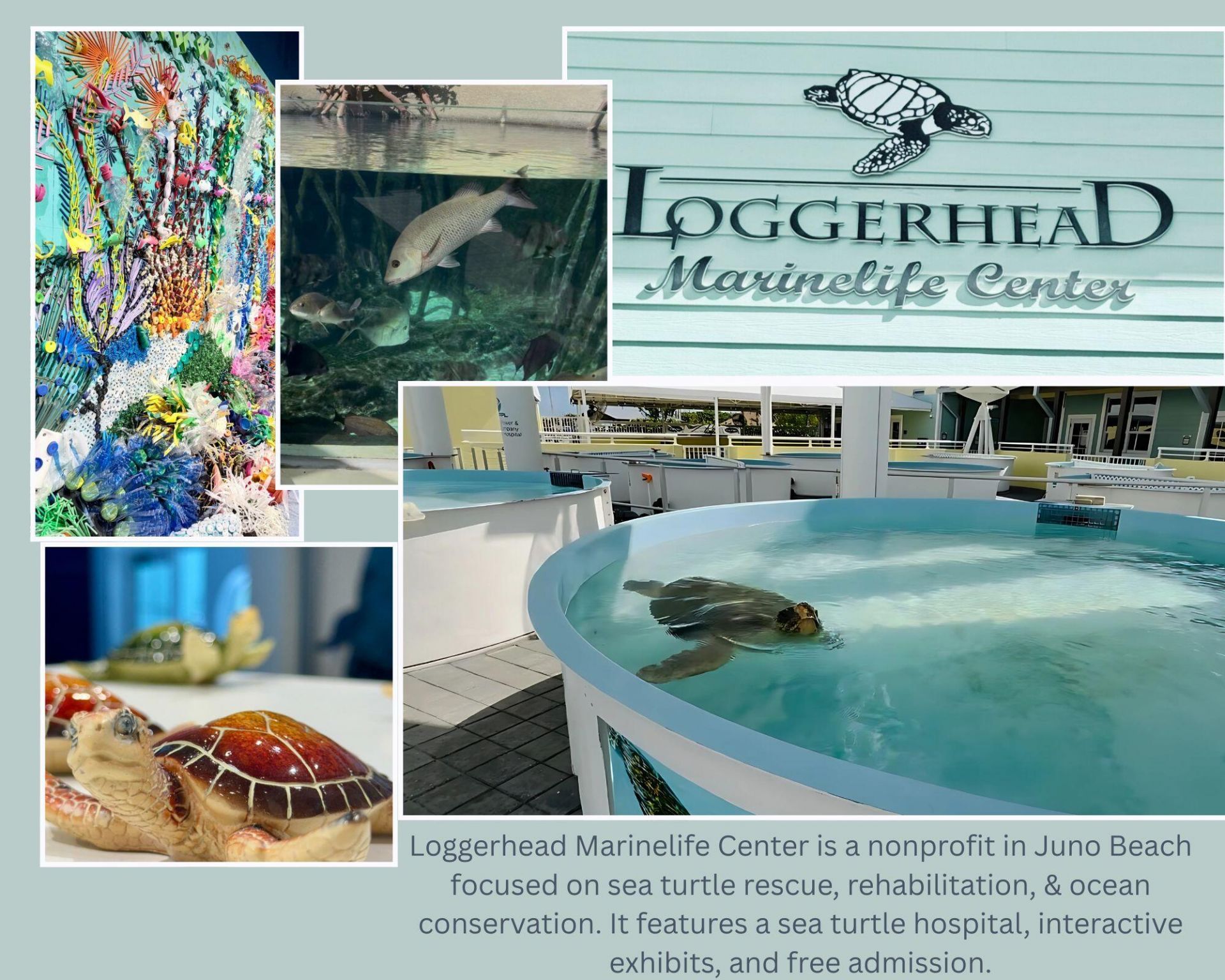 591 Kriss Lane, Jupiter, FL 33458 Photo