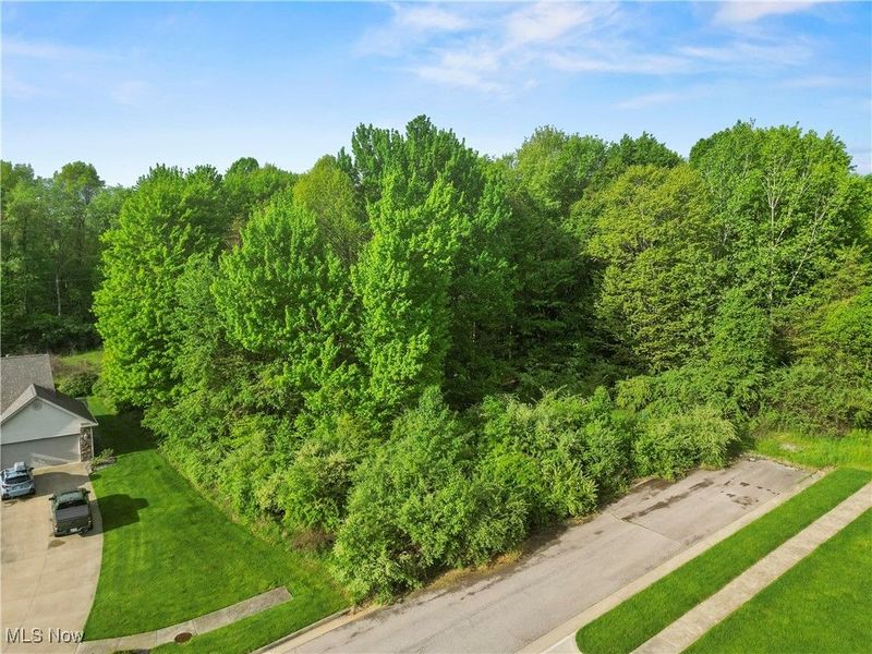 5340 Clingan Trails Boulevard, Struthers, OH 44471 Photo 3