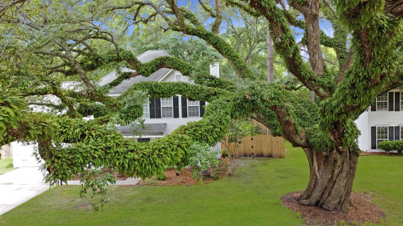 709 Black Oak Boulevard Photo 6