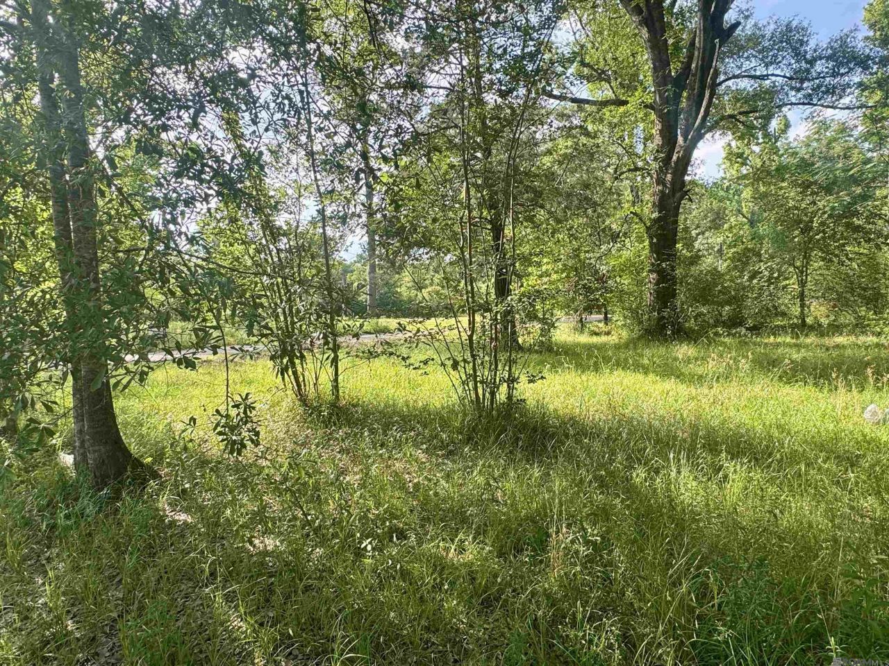 1306 Hazeloak Dr, Baker, LA 70714 Main Photo