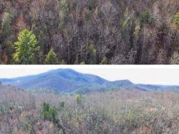 E Balls Hollow Rd, Cosby, TN 37722